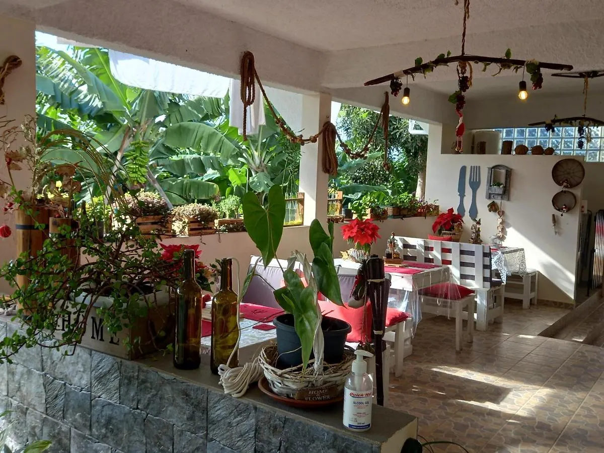 Tabua Village Suite Vip Ribeira Brava 0*,  Portugal